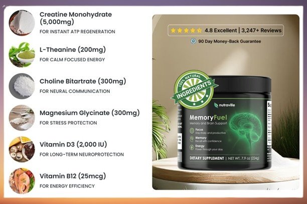 Powerful Ingredients of MemoryFuel